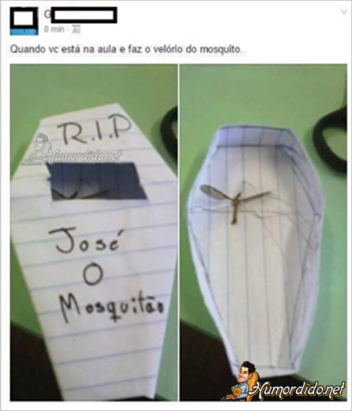 mosquito-bom-e-mosquito-morto